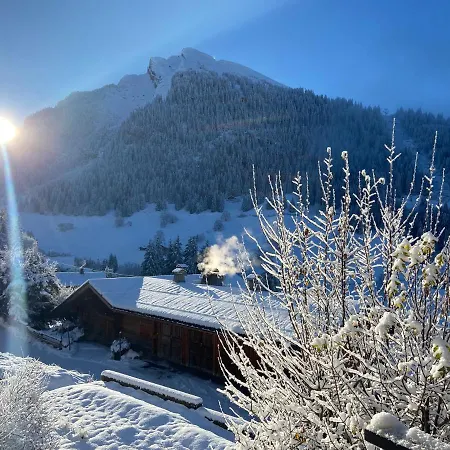 Apartment Cosy Au Pied Des Pistes *