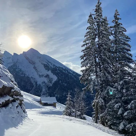 Cosy Au Pied Des Pistes