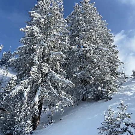 Apartamento Cosy Au Pied Des Pistes La Clusaz