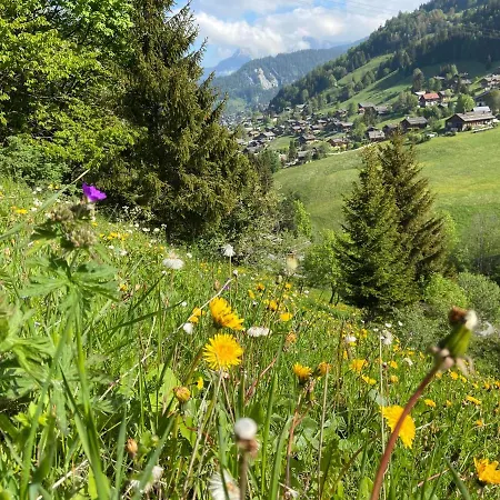 Cosy Au Pied Des Pistes *